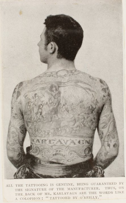Karlavagn, Tattooed by O’Reilly. The Illustrated American. Nov 8, 1890. pg. 365. Print. 
