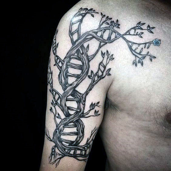 'Tree of Life-DNA' tattoo. 